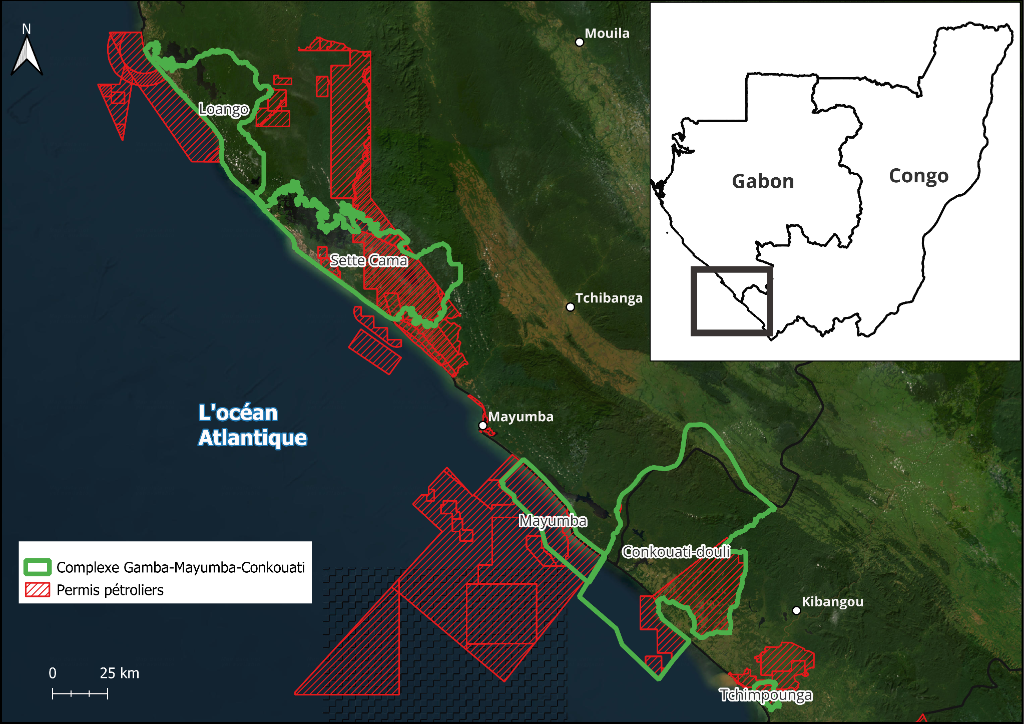 Maps: chevauchements dans le Complexe Gamba-Mayumba-Conkouati .L'analyse des données de Mapstand et de l'EIF révèle que ce sanctuaire de biodiversité est presque quadrillé par des concessions pétrolières et gazières. Kevin Nfor Ntani