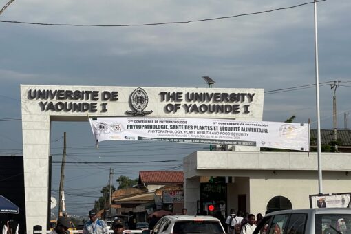 A l'univsersité de Yaoundé 1, les anciennes pièces de monnaie de la BEAC créent des désaccords entre étudiants et commerçants.
